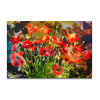 Mohnblumen