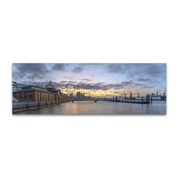 Hamburg Panorama 224