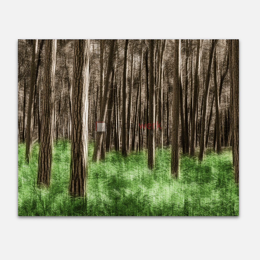 Wald 04 1