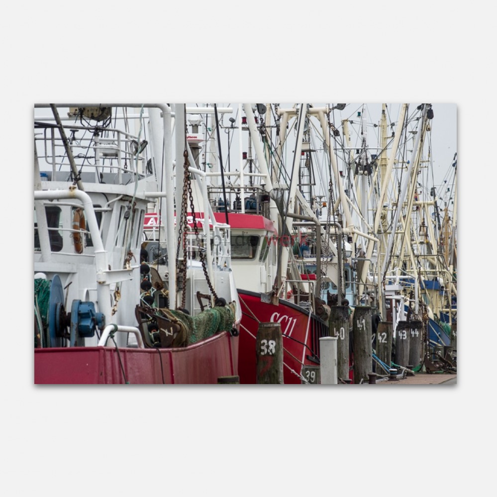 Fischkutter in Büsum 1