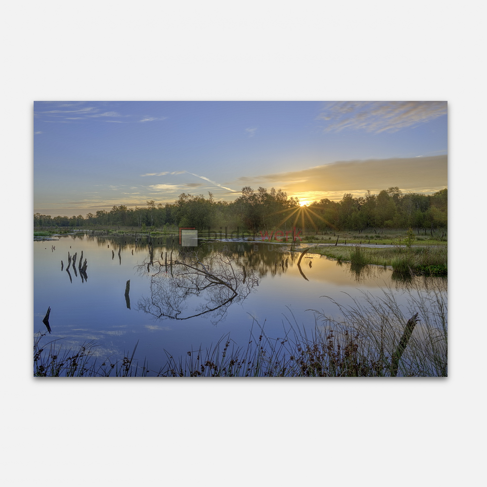 Naturschutzgebiet Wittmoor 04 1