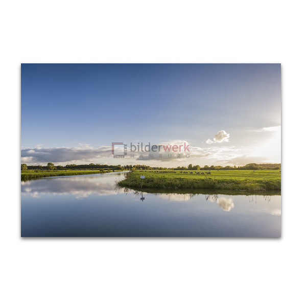 Schafherde 02