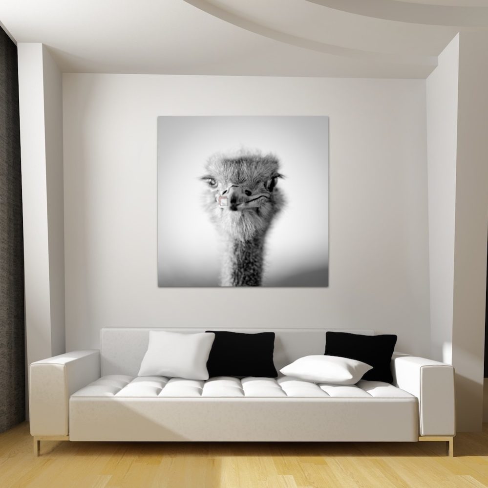 KDW00090_wall1