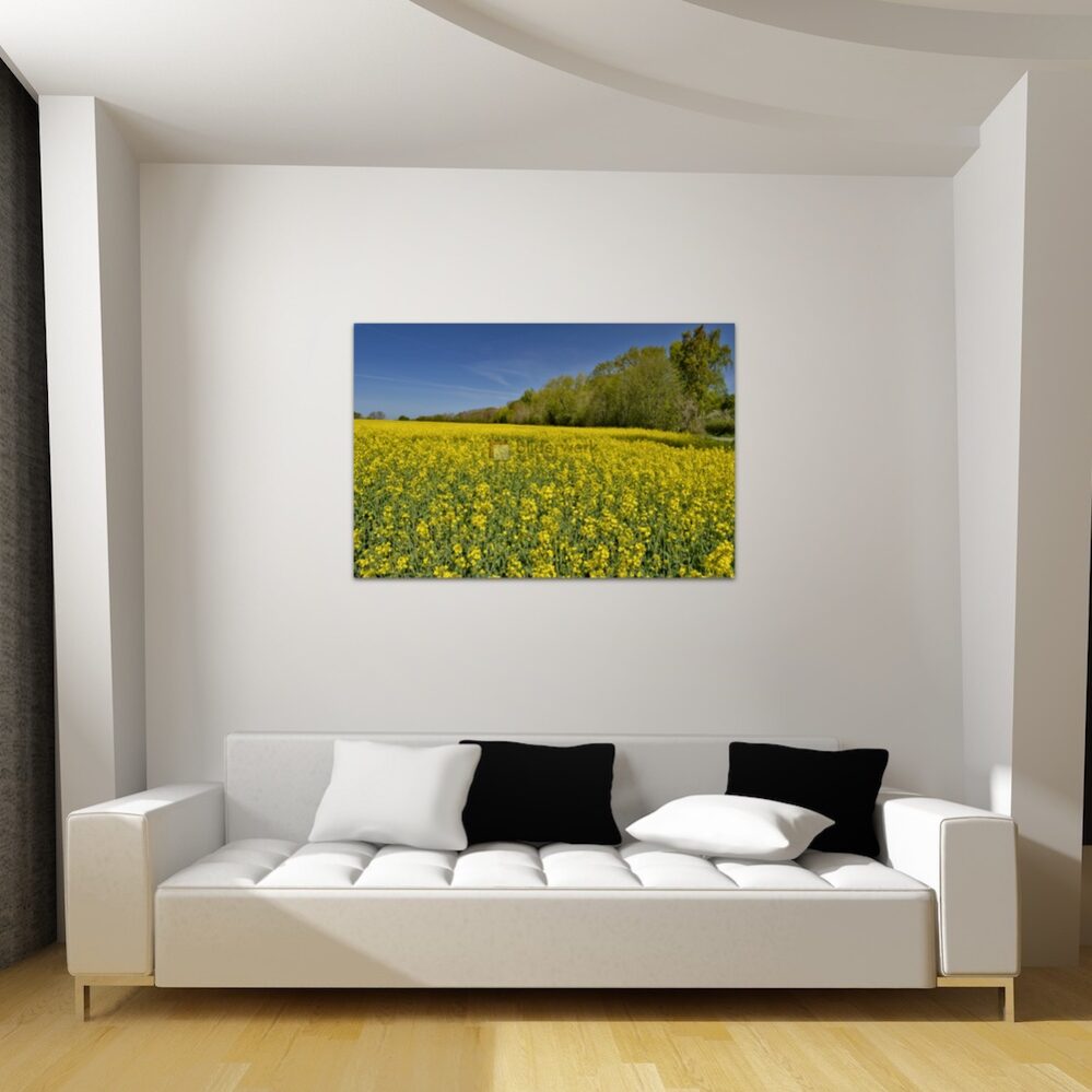 KJS01159_wall1