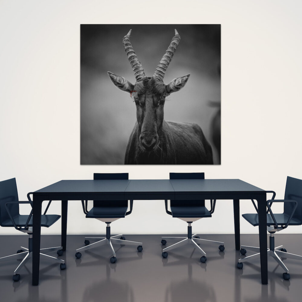 KDW00191_wall2