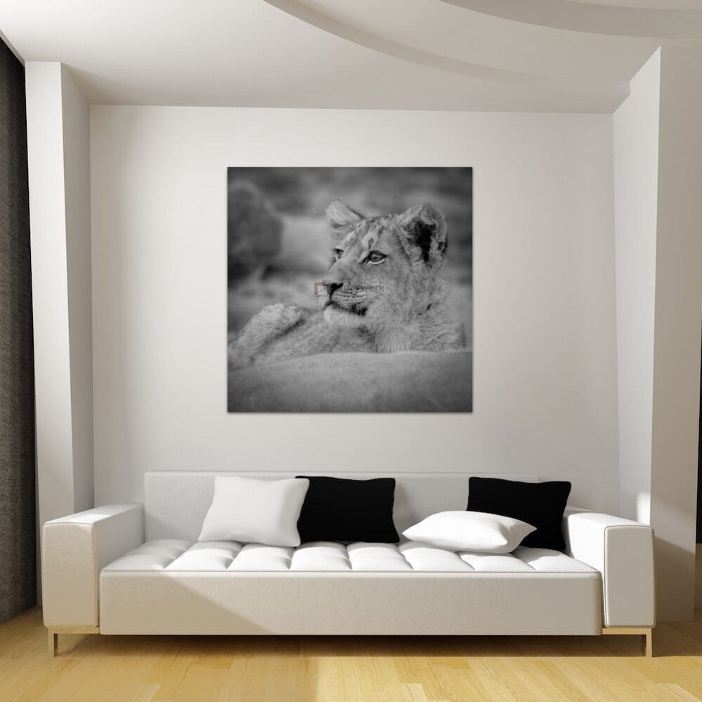 KDW00213_wall1