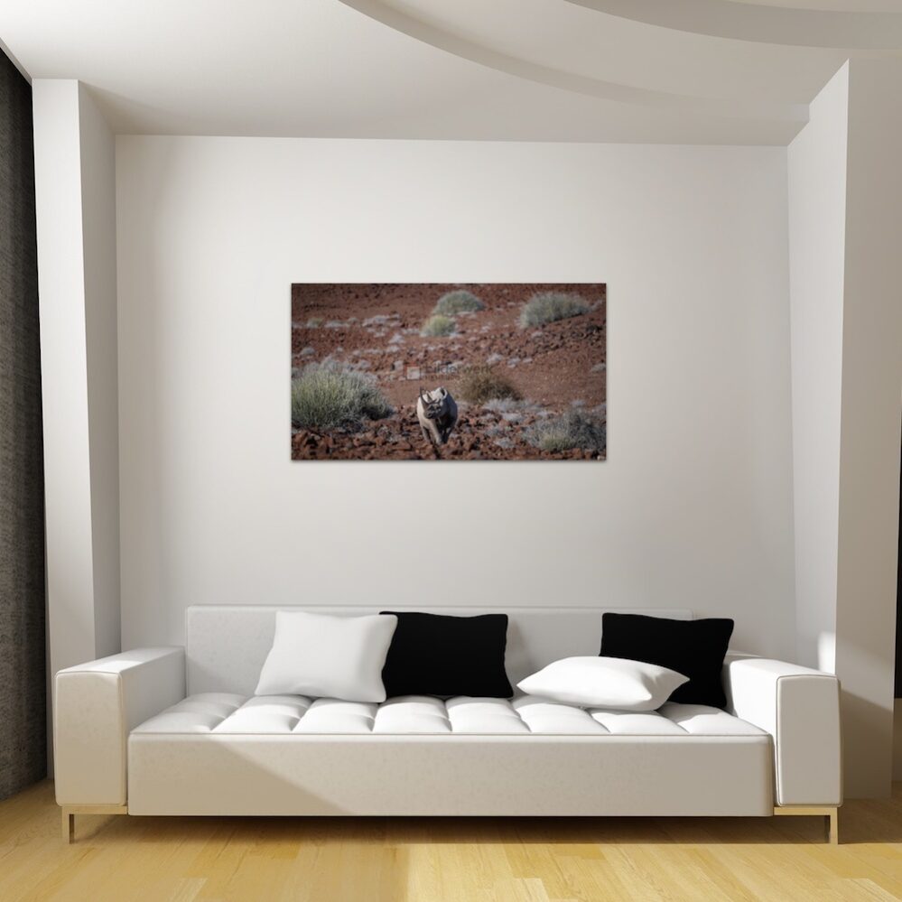 KDW00265_wall1