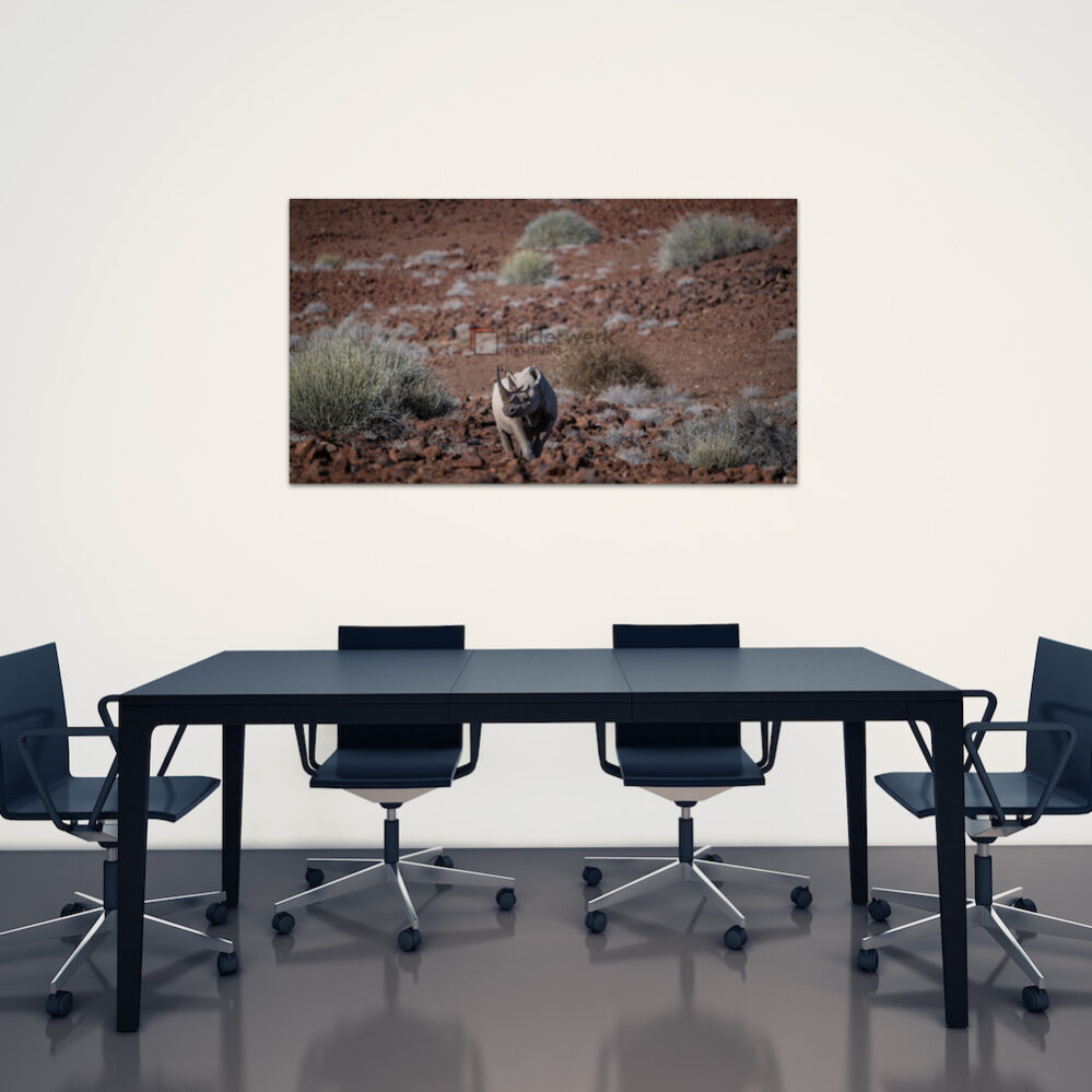 KDW00265_wall2