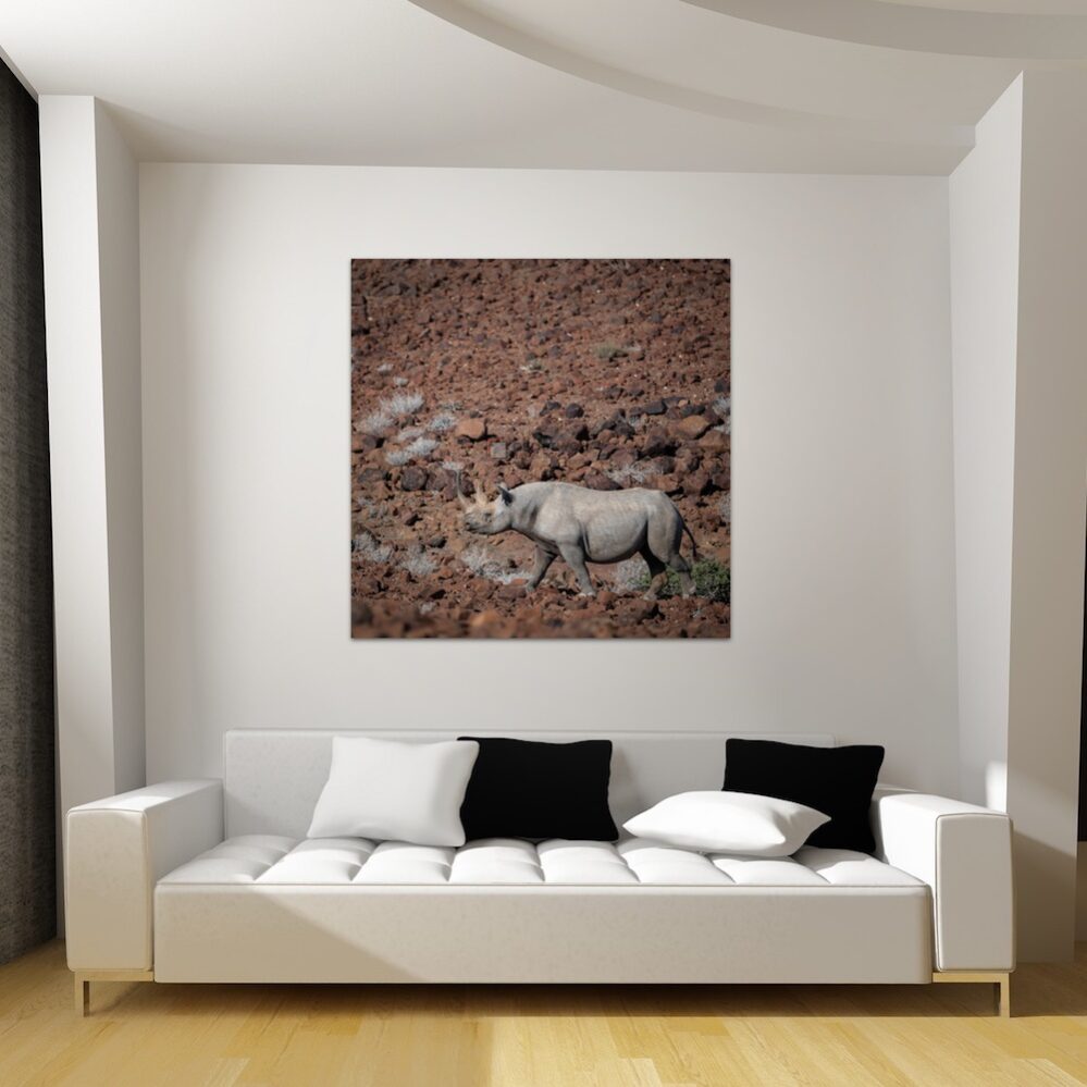 KDW00266_wall1