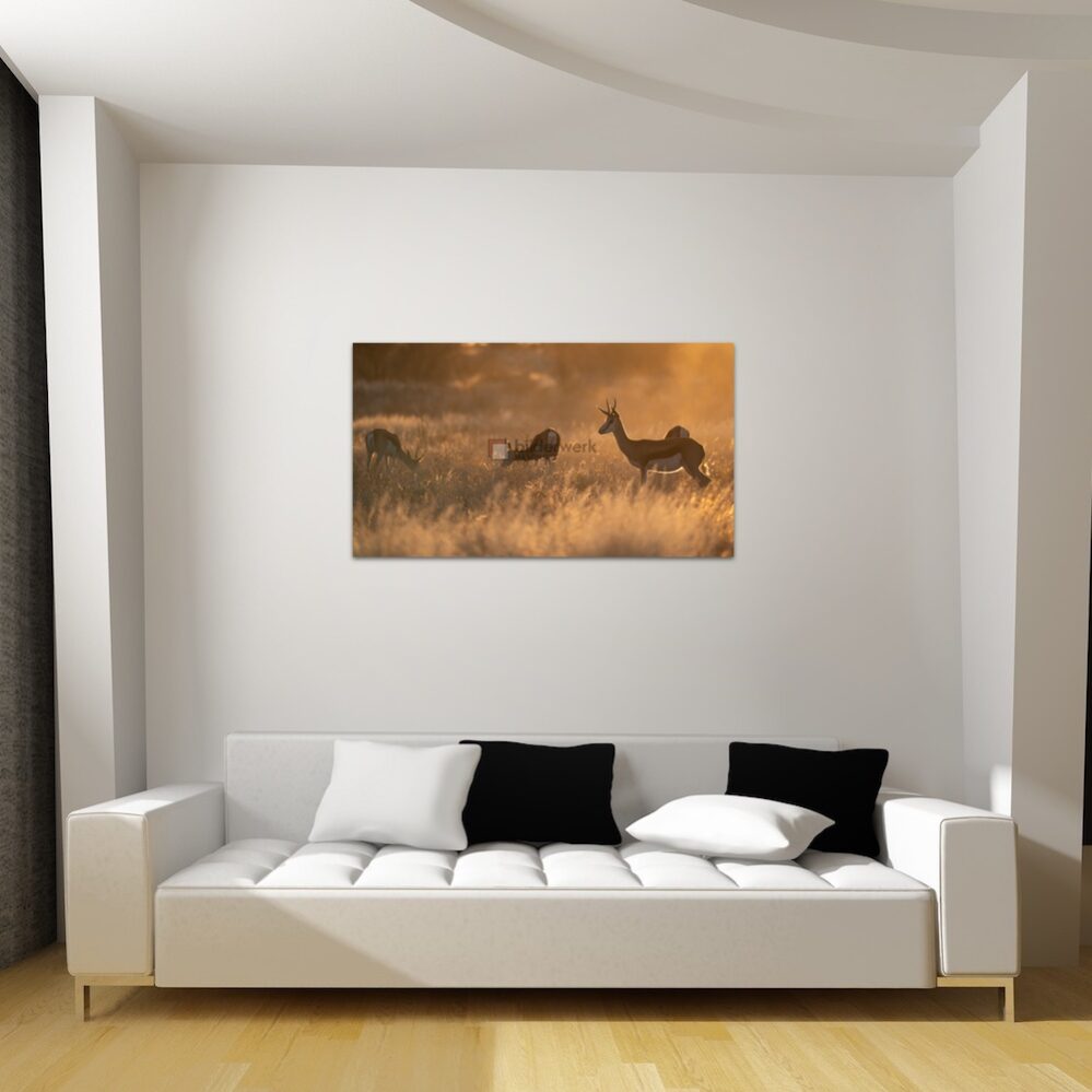 KDW00268_wall1