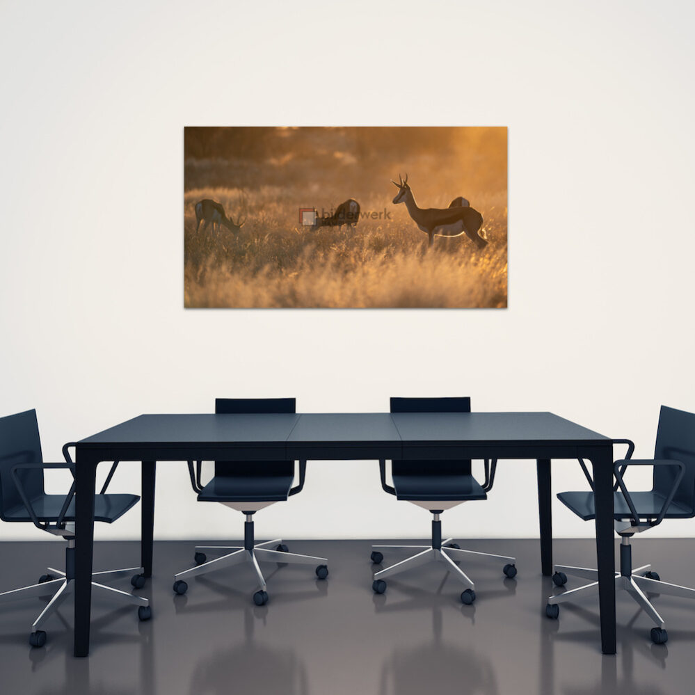 KDW00268_wall2
