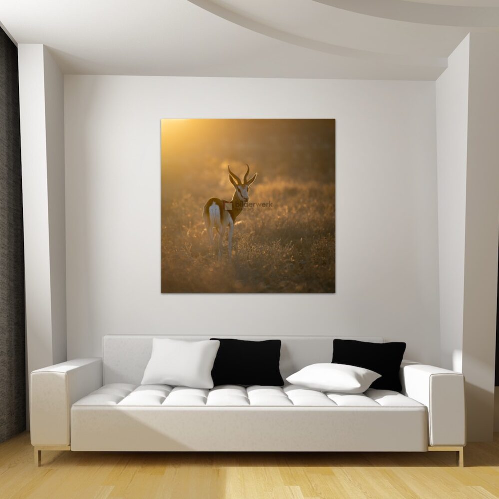 KDW00269_wall1