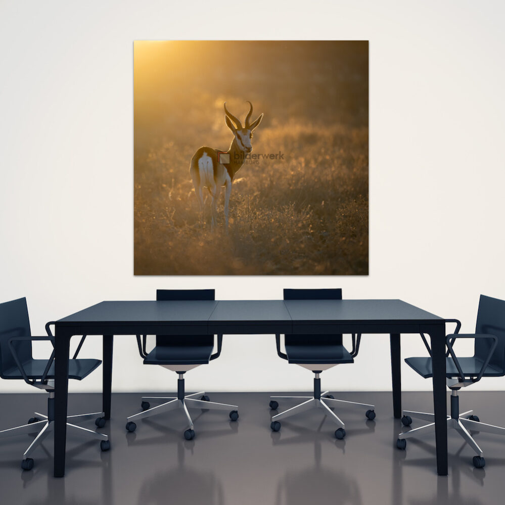 KDW00269_wall2