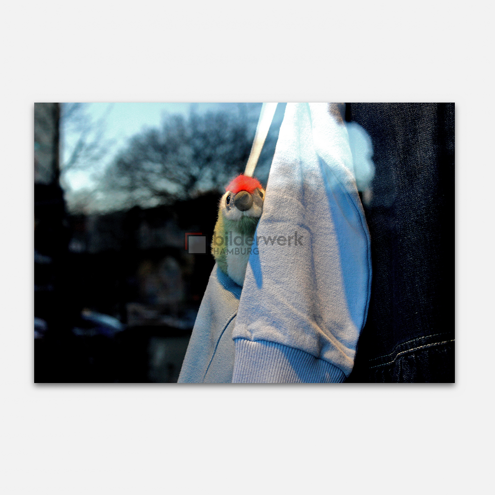 KBB00019